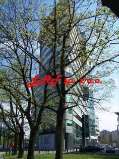 Nieruchomość komercyjna do wynajęcia, 159,88 m2, Warszawa