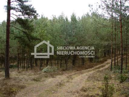 Działka leśna na sprzedaż, 165900 m2, Małe Chełmy