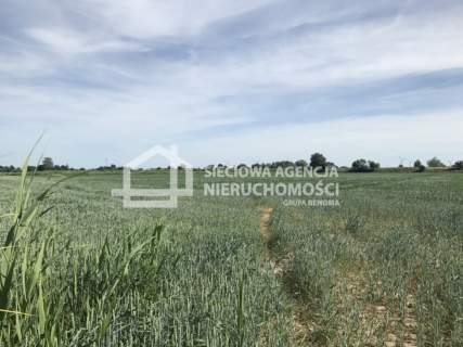 Bardzo atrakcyjna działka 7,76 ha Rybina