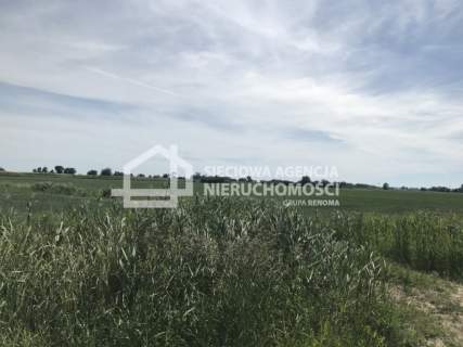 Bardzo atrakcyjna działka 7,76 ha Rybina