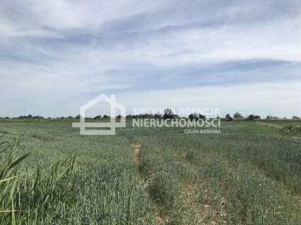 Bardzo atrakcyjna działka 7,76 ha Rybina