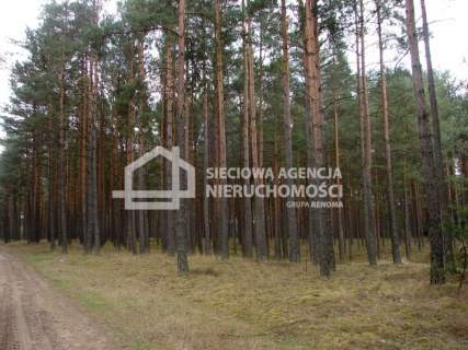 Działka leśna na sprzedaż, 165900 m2, Małe Chełmy