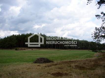 Działka leśna na sprzedaż, 165900 m2, Małe Chełmy