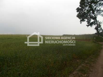 Działka rolno-leśna w Mszanie pow. świecki