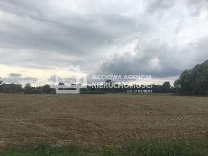 Duża działka Gdańsk Sobieszewo 1,68 HA