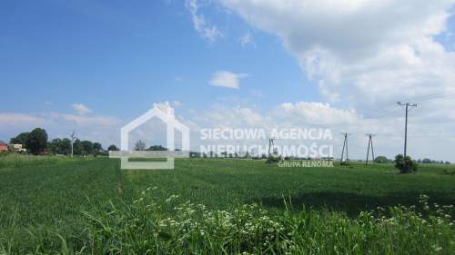 Działka 15 900m2 Sztutowo, ul. Przemysłowa