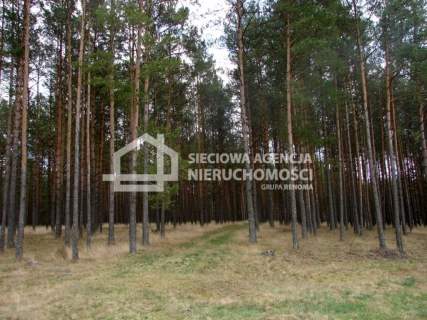Działka leśna na sprzedaż, 165900 m2, Małe Chełmy
