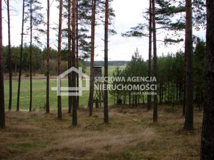Działka leśna na sprzedaż, 165900 m2, Małe Chełmy