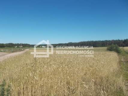 Działka inwestycyjna na sprzedaż, 14138 m2, Śliwice