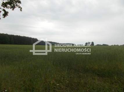 Działka rolno-leśna w Mszanie pow. świecki