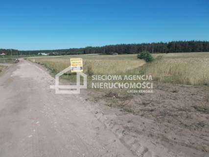 Działka inwestycyjna na sprzedaż, 14138 m2, Śliwice