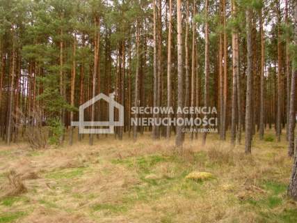 Działka leśna na sprzedaż, 165900 m2, Małe Chełmy