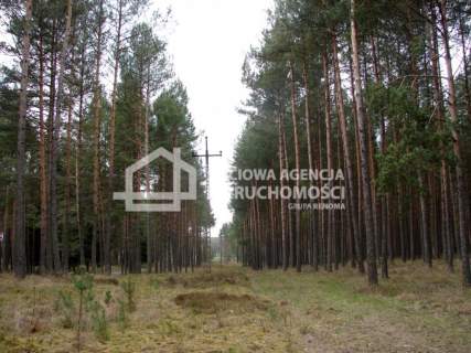 Działka leśna na sprzedaż, 165900 m2, Małe Chełmy