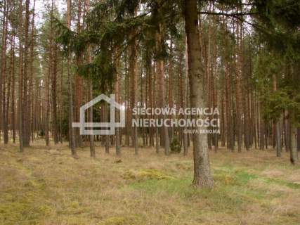 Działka leśna na sprzedaż, 165900 m2, Małe Chełmy