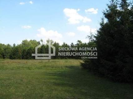 Działka inwestycyjna na sprzedaż, 30090 m2, Mały Klincz