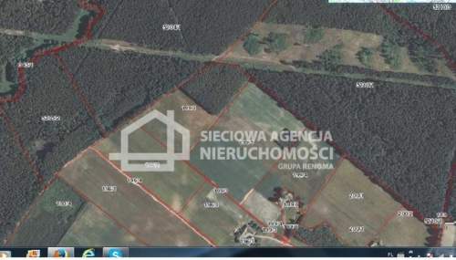 Działka rolno-leśna w Mszanie pow. świecki