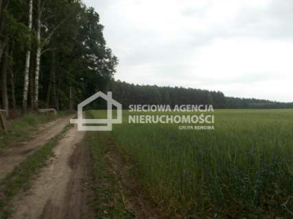 Działka rolno-leśna w Mszanie pow. świecki