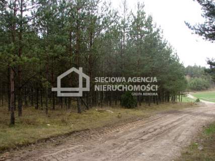 Działka leśna na sprzedaż, 165900 m2, Małe Chełmy