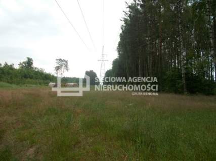 Działka rolno-leśna w Mszanie pow. świecki