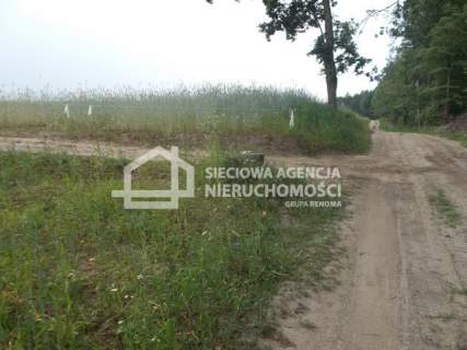 Działka rolno-leśna w Mszanie pow. świecki