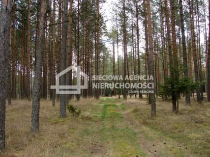 Działka leśna na sprzedaż, 165900 m2, Małe Chełmy