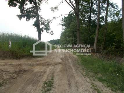Działka rolno-leśna w Mszanie pow. świecki