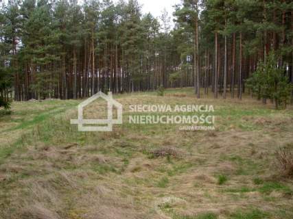 Działka leśna na sprzedaż, 165900 m2, Małe Chełmy
