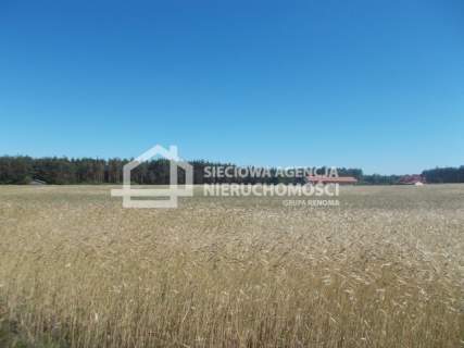 Działka inwestycyjna na sprzedaż, 14138 m2, Śliwice