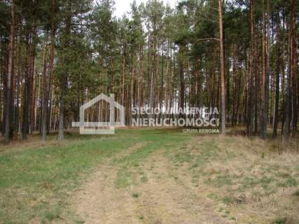 Działka leśna na sprzedaż, 165900 m2, Małe Chełmy