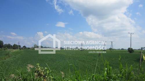 Działka 15 900m2 Sztutowo, ul. Przemysłowa