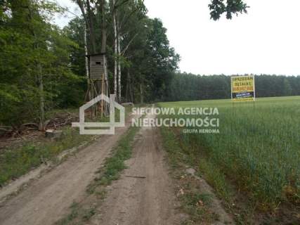 Działka rolno-leśna w Mszanie pow. świecki