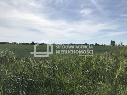 Bardzo atrakcyjna działka 7,76 ha Rybina
