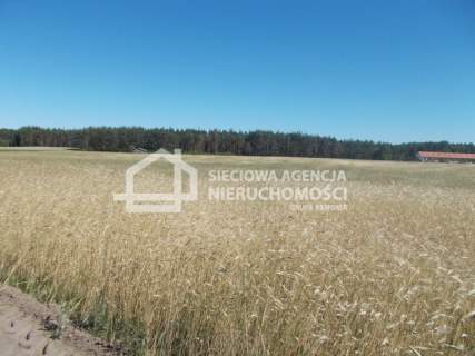 Działka inwestycyjna na sprzedaż, 14138 m2, Śliwice