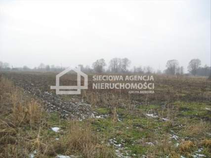 Działka inwestycyjna na sprzedaż, 30090 m2, Mały Klincz