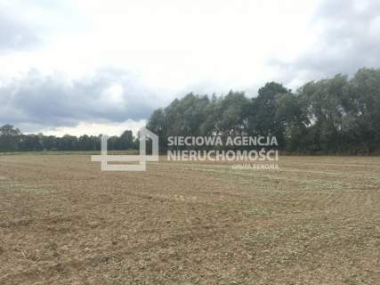 Duża działka Gdańsk Sobieszewo 1,68 HA