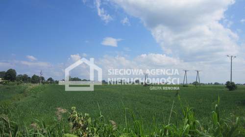 Działka 15 900m2 Sztutowo, ul. Przemysłowa