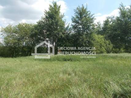 Działka siedliskowa na sprzedaż, 5199 m2, Branica