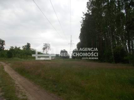 Działka rolno-leśna w Mszanie pow. świecki