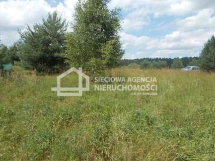 Działka siedliskowa na sprzedaż, 5199 m2, Branica
