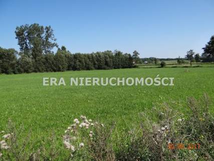 Popiołówka - działka inwestycyjna przy trasie S-8