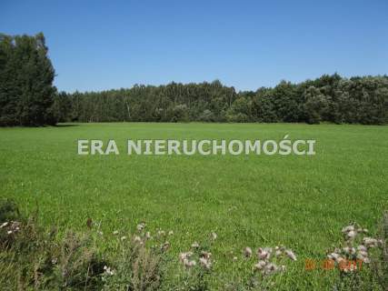 Popiołówka - działka inwestycyjna przy trasie S-8