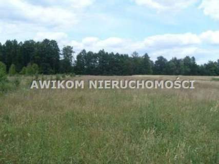 Działka na sprzedaż, 3900 m2, Basin