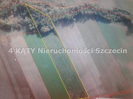 Działka na sprzedaż, 30000 m2, Przęsocin