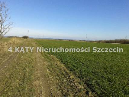 Działka na sprzedaż, 30000 m2, Przęsocin
