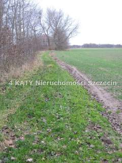 Działka budowlana na sprzedaż, 4801 m2, Połchowo