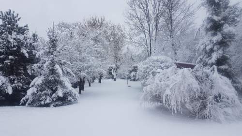 Najpiękniejsza działka w Łodzi plus dom Inwestycja
