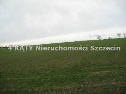 Działka budowlana na sprzedaż, 4801 m2, Połchowo