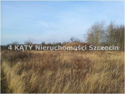 Chojna działka komercyjna 1250m2