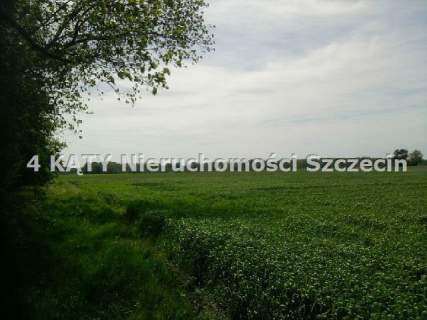 Działka budowlana na sprzedaż, 4801 m2, Połchowo