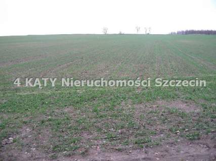 Działka budowlana na sprzedaż, 4801 m2, Połchowo